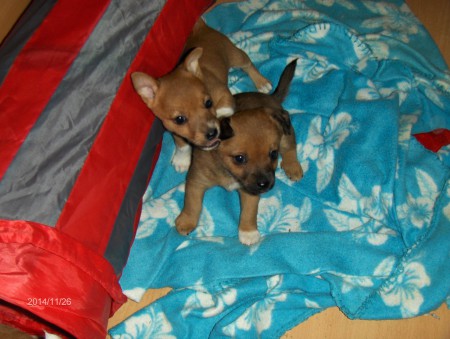 Fr.v. Agnes och Amanda