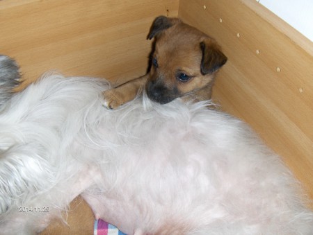 Amanda med "barnvakten"